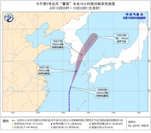 台风最新动态，关于台风十号的深度解析