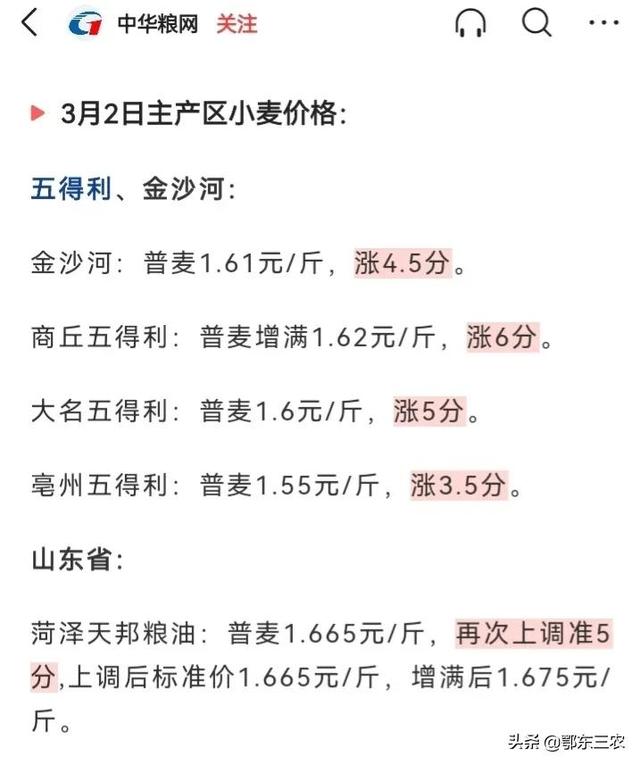 小麦最新价格动态及影响因素深度解析