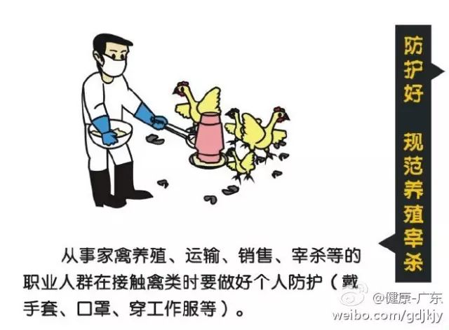 H7N9最新疫情深度剖析