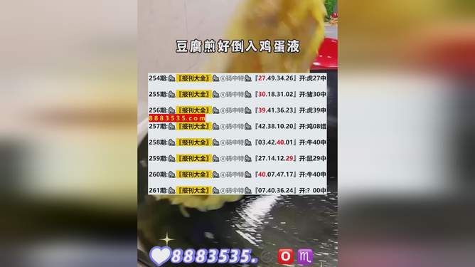 2024新澳最新开奖结果查询,快速解答计划设计_视频版78.236