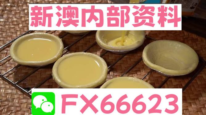 新澳精准资料免费提供,动态词语解释落实_顶级版69.971