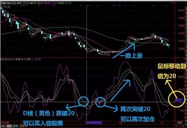 2024新奥历史开奖记录香港1｜实用技巧与详细解析