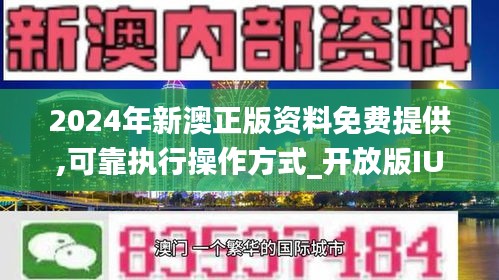 2024新澳免费资料五不中资料,深层执行数据策略_入门版29.877