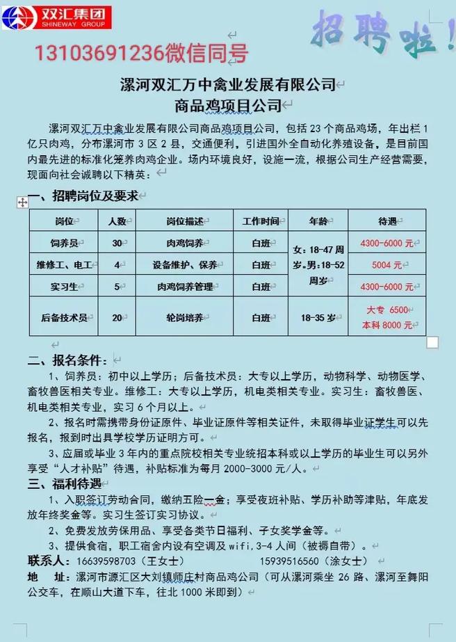 鹿邑招聘网最新招聘动态深度解析与解读