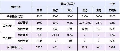 最新工资计算方法，构建更公正、合理的薪酬体系