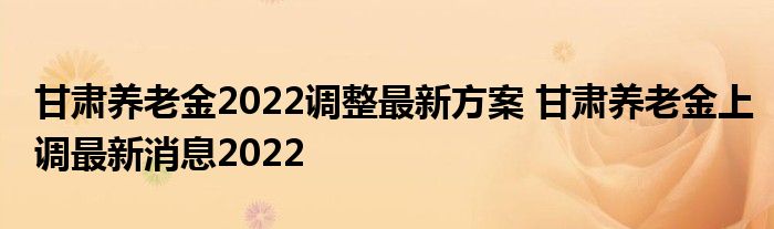 甘肃养老金政策调整及未来展望最新消息