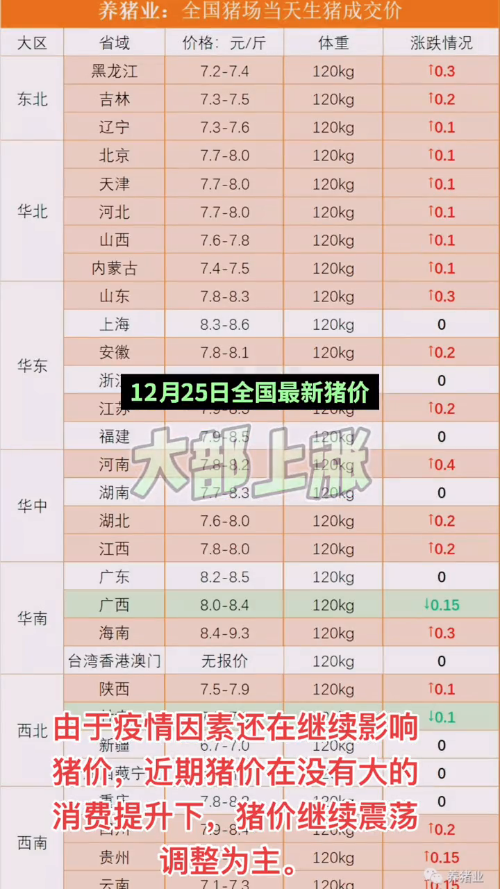 明日猪价查询及市场走势分析与预测