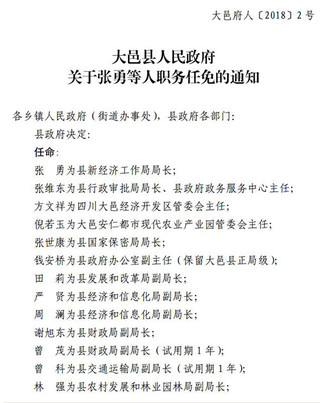 成都最新人事任免动态概览