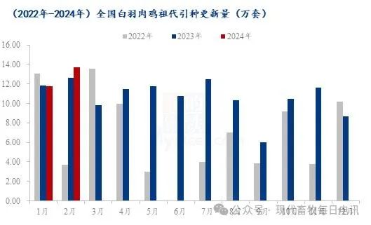 白羽肉鸡价格最新动态解析报告