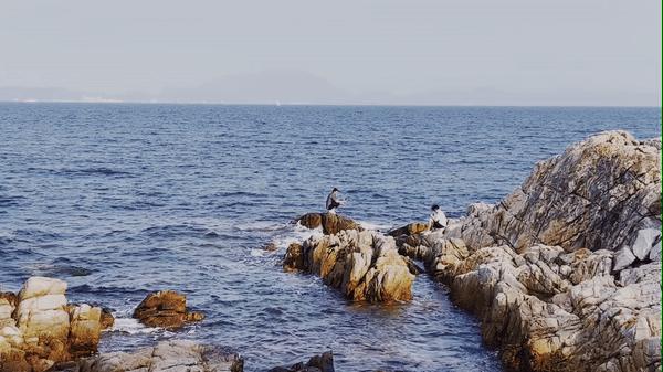 深圳大梅沙最新消息