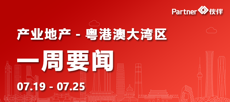 最新政策新闻，引领未来发展的明灯