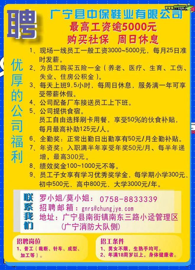 石狮最新临时工招聘信息概览与探讨