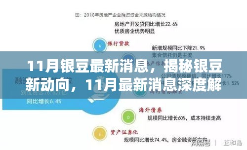 银豆网最新消息全面解读