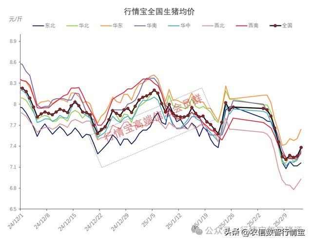 今日生猪价格涨跌走势分析